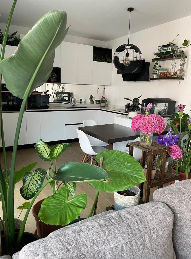 Mowgli House - Milano Luxury Apartment Private Room מראה חיצוני תמונה